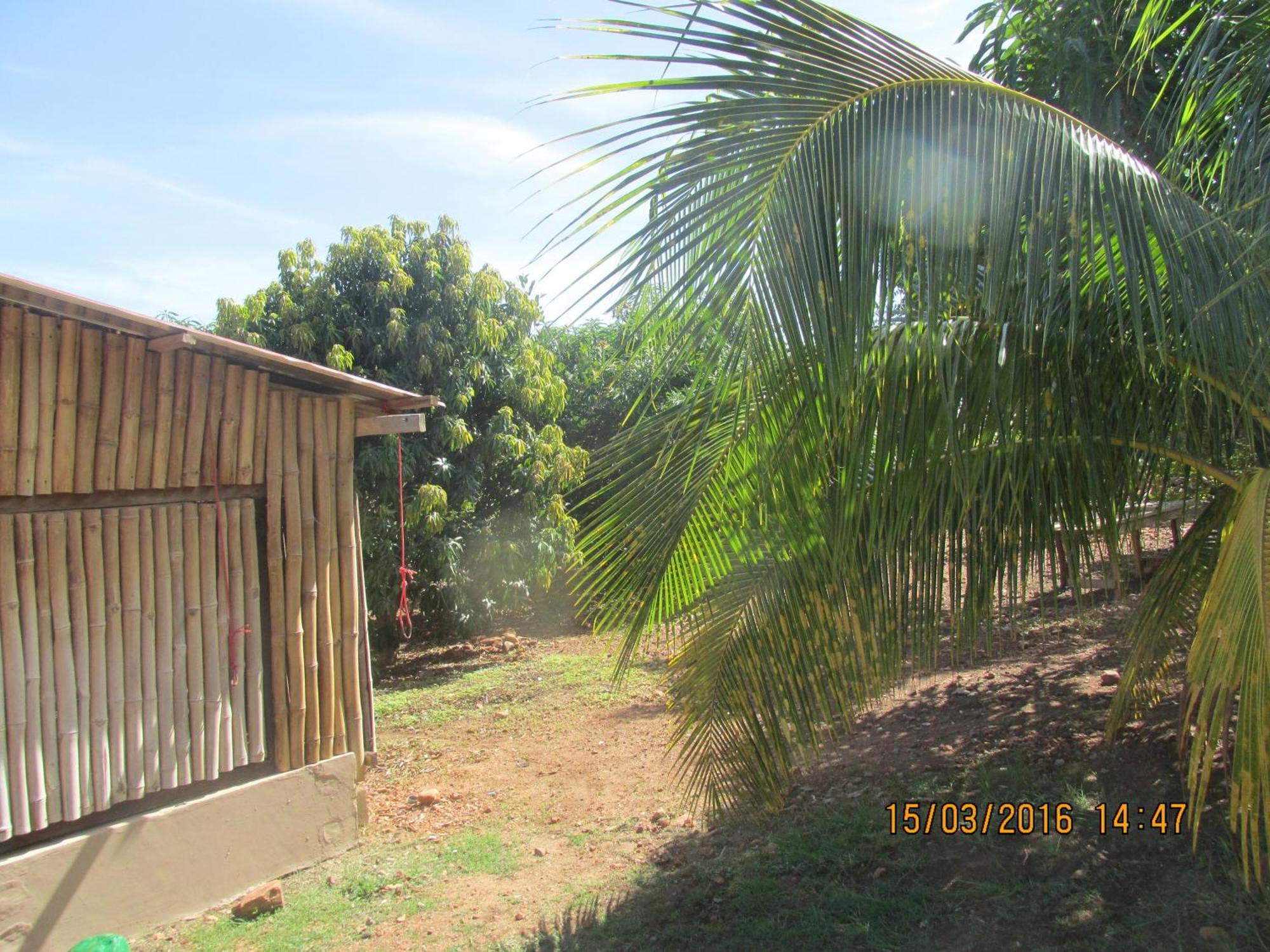 Botianaw Jamaica Inn Guest House מראה חיצוני תמונה